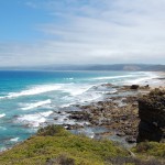 coastal-attraction-1