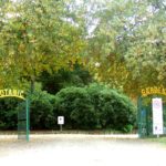 colac-botanical-gardens-1