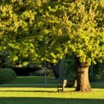 colac-botanical-gardens-2