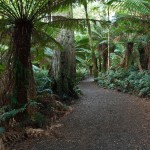 otway-walk-1